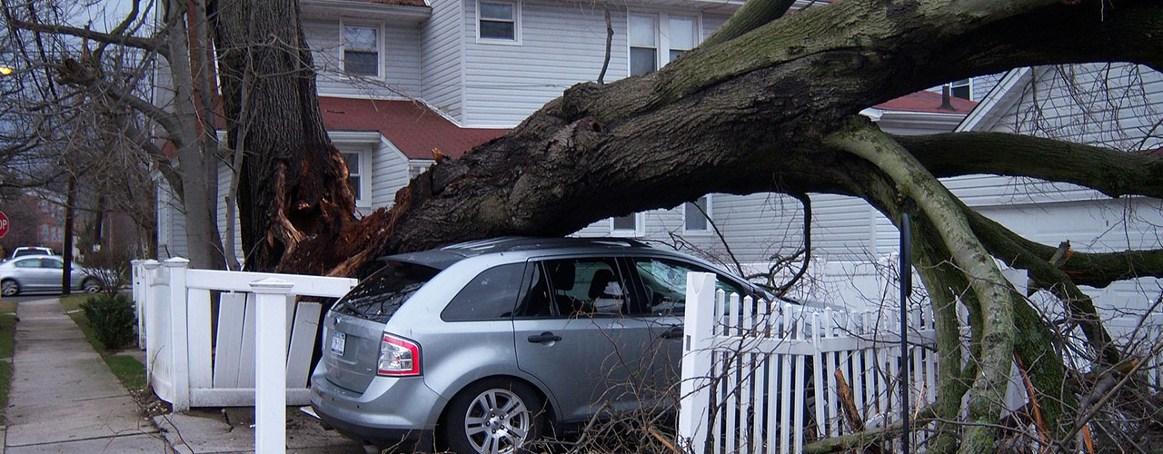Storm schade auto huis bedrijfspand